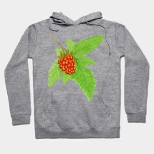 Watercolor Salmonberry Fruit Hoodie